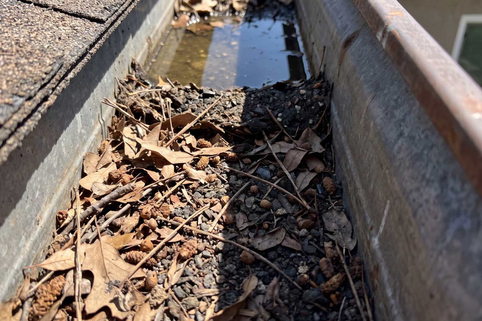 A rain gutter packed with dry leaves and grit, with water standing behind the blockage