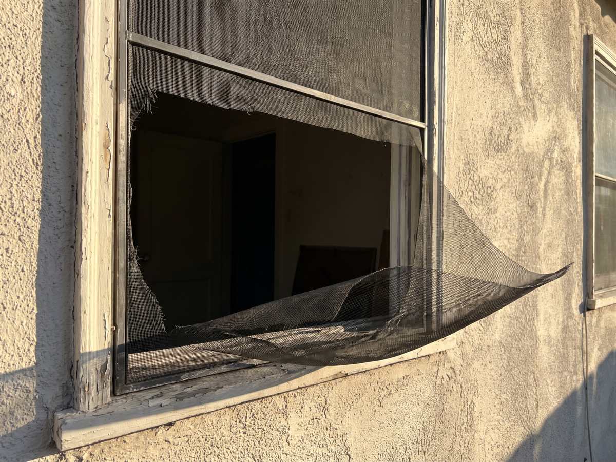 A torn insect screen sagging out of its frame in an older Los Angeles window